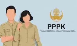 Kemenkeu Kucurkan Rp20,5 Triliun untuk Bantu Pemda Bayar Gaji ASN, 497 Daerah Jadi Sasaran