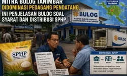 Mengurai Bara Sentimen di Tanimbar: Benarkah Bulog "Anak Tirikan" Pedagang Asli Daerah?