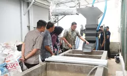 Ada Budi Daya Maggot dan Peternakan, Rutan Tangerang Tertarik Inovasi Lapas Cibinong