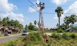 PLN NTT Kerahkan Seluruh Personel Pulihkan Sistem Kelistrikan Pascagempa Laut Flores