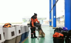 Polri Kerahkan 10 Anjing K9 dan Tim SAR Bantu Penanganan Gempa NTT