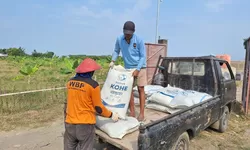 Lapas Terbuka Kendal Olah Kotoran Hewan Jadi Pupuk, 2 Ton Dikirim ke Rejo Farm