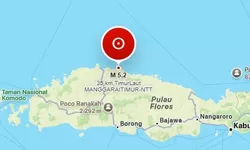 BMKG Catat 6.397 Gempa Susulan, Flores Kembali Diguncang Gempa M5,0