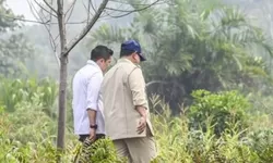 Prabowo Tinjau Karhutla di Riau dan Sumsel, Pemerintah Perkuat Penanganan di Empat Provinsi