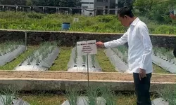 Petani Bogor Terancam Kekeringan, Jaro Ade Dorong Mitigasi dan Pangan Murah