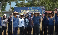 Usai Panen Langsung Tanam Lagi, Lapas Terbuka Kendal Optimalkan Lahan Produktif