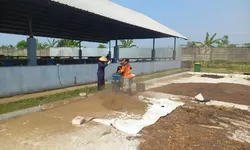 Permintaan Pasar Meningkat, Lapas Terbuka Kendal Genjot Produksi Pupuk Kohe