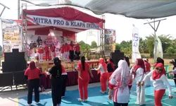 Mega Promo Klapa Indah: Rumah Type 30/60 Double Dinding, Booking Rp500 Ribu dan DP Mulai Rp1 Juta