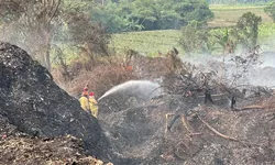 Kebakaran TPA Galuga, Rudy Susmanto Bongkar Gundukan Sampah untuk Padamkan Bara di Dalam