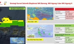 Djoko Siswanto Optimistis BP-Inpex Temukan Cadangan Gas Besar di Lepas Pantai Bali