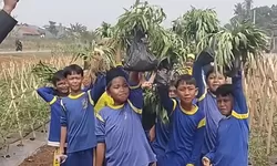 Kenalkan Pertanian Sejak Dini, 253 Siswa Kunjungi Kawasan Ketahanan Pangan Bomang