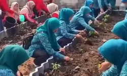 Manfaatkan Lahan Warga, Pemdes Dayeuh Dorong Budidaya 100 Pohon Cabai