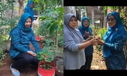 Gertam di Gunungsari, 100 Pohon Cabai Ditanam untuk Dukung Ketahanan Pangan