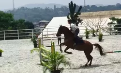14 Rider Disiapkan, Pordasi Kabupaten Bogor Targetkan 2 Emas Porprov Jabar