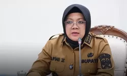 Kondisi 3T Siak Viral di Media Sosial, Sekretariat Wapres Siapkan Tim Peninjauan