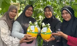 HBAP Raih Asian Impact Award 2025 Berkat Program Desa Hijau Berbasis Agribisnis