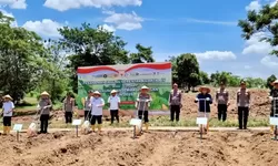 PT Bukit Asam Dorong Ketahanan Pangan Lewat Program Penanaman Jagung Multipihak di Muara Enim