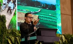 Wamendagri Bima Arya Dorong Diferensiasi Ekonomi Kreatif untuk Majukan Pariwisata Nasional