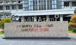 PT Bukit Asam Lakukan Uji Coba Co-Firing Biomassa di PLTU Tanjung Enim, Dukung Transisi Energi Nasional
