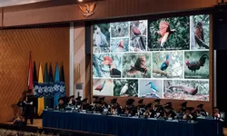 Retrospeksi 35 Tahun Ekowisata, Prof. Ricky Avenzora Kritik Pola Penyegelan Objek Wisata
