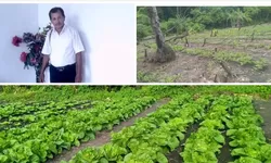 Ketergantungan Pengepul Membelit, Petani Fordata Minta Janji Bantuan Segera Direalisasi