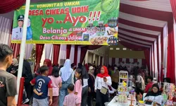 Gebyar HUT RI ke-80 di Desa Cikeas Udik Meriah, Warga Antusias Ikuti Lomba dan Bazar UMKM