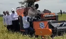 Pemerintah Pastikan Stok Beras Nasional Aman, Produksi Padi Capai 53,87 Juta Ton