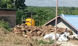 Pemanfaatan Limbah Kayu “Tomor” Sesuai Aturan, Bernilai Ekonomi bagi Masyarakat