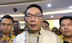 Hasil Tes DNA Membuktikan Ridwan Kamil Bukan Ayah Kandung Anak Selebgram