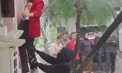Vandalisme Cagar Budaya di Balai Kota Bogor, Pelaku Terancam 15 Tahun Penjara