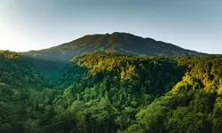 Dari Gunung Gede hingga PTPN, EIGER Adventure Land Bangun Destinasi Ekowisata untuk Indonesia
