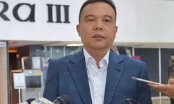 Sufmi Dasco: Aturan Baru Soal Royalti Lagu Segera Diumumkan