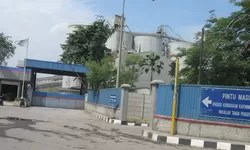 DLH Jabar Nyatakan PT Indocement Bersalah, Hujan Abu di Bogor Akibat Pelanggaran SOP