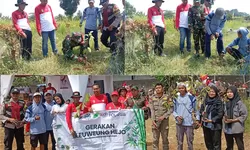 KTH Alam Kiwari Gelar Aksi Merdeka Menanam di Desa Ciadeg, Dukung FOLU Net Sink 2030