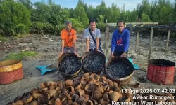 CV Arkilo Jaya Mandiri Dorong Pembangunan Gereja Awear Rumngeur dan Ekonomi Lokal Lewat Inovasi Arang Batok Kelapa