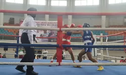 Pertina Kabupaten Bogor Gelar Sparing Perdana, 100 Petinju Amatir Adu Pukul di Bumi Tegar Beriman