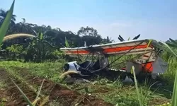 Marsma Fajar Adriyanto Gugur dalam Kecelakaan Pesawat Latih di Ciampea