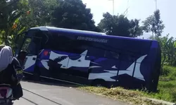 Bus Pariwisata dari Jakarta Terperosok ke Sawah di Puncak Bogor, Diduga Tak Kuat Menanjak