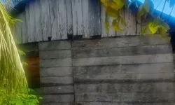 Potret Buram Pendidikan Tanimbar: Guru di Romnus Tinggal di Rumah Tak Layak Huni, Publik Tersentak
