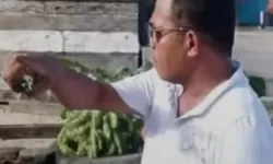Bupati Tanimbar Dikecam: Usir Warga Bomaki Tanpa Dasar Jelas, Dituding Langgar Hukum dan Akuntabilitas Publik