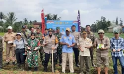 Muspika Ciomas Tanam Jagung Serentak Dukung Program Ketahanan Pangan Presiden RI