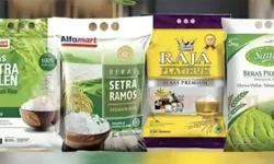 Skandal Besar di Industri Beras: Premium Ternyata Palsu, Ini Nama-Namanya!