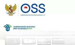 Fiktif Positif OSS-RBA Terhambat Celah Administratif, Sirod: Ini Ancaman Bagi Kepastian Investasi