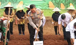 Polres Bogor Gelar Penanaman Jagung Serentak Dukung Ketahanan Pangan Nasional