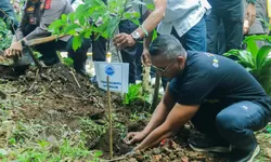 Jenal Mutaqin Ajak Warga Tanam Pohon di Bantaran Sungai Cisadane