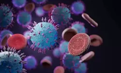 Virus HKU5 Mirip COVID-19 Ditemukan di Cina, Berpotensi Picu Pandemi Baru