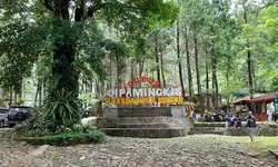 Curug Cipamingkis: Pesona Tersembunyi di Tengah Keindahan Alam Jonggol