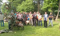 AQUA Citeureup Salurkan Hewan Kurban untuk Warga Desa Cicadas di Hari Raya Idul Adha 1446 H