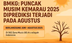 BMKG: Puncak Musim Kemarau 2025 Diprediksi Terjadi pada Agustus, Waspadai Wilayah Rawan Kekeringan
