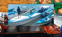 Skandal Pencurian Laut Seira: Warga Desak Penangkapan Roby dan Arshady, Nelayan Ilegal Rampas Telur Ikan Terbang di Tanimbar